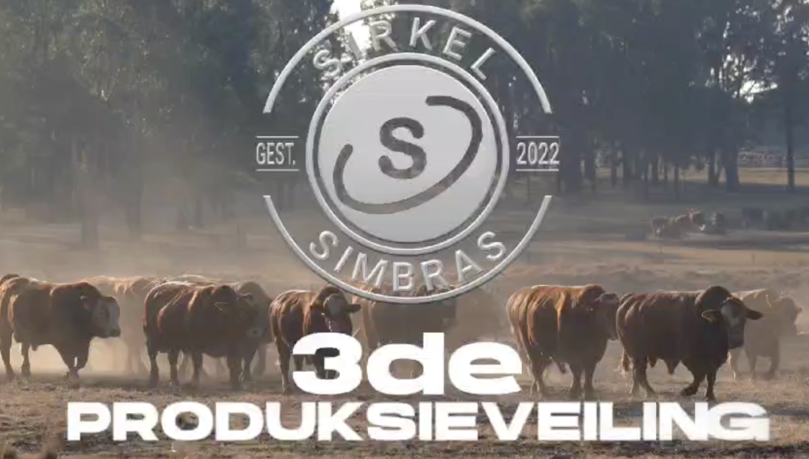 SIRKEL S SIMBRA 3DE PRODUKSIE VEILING